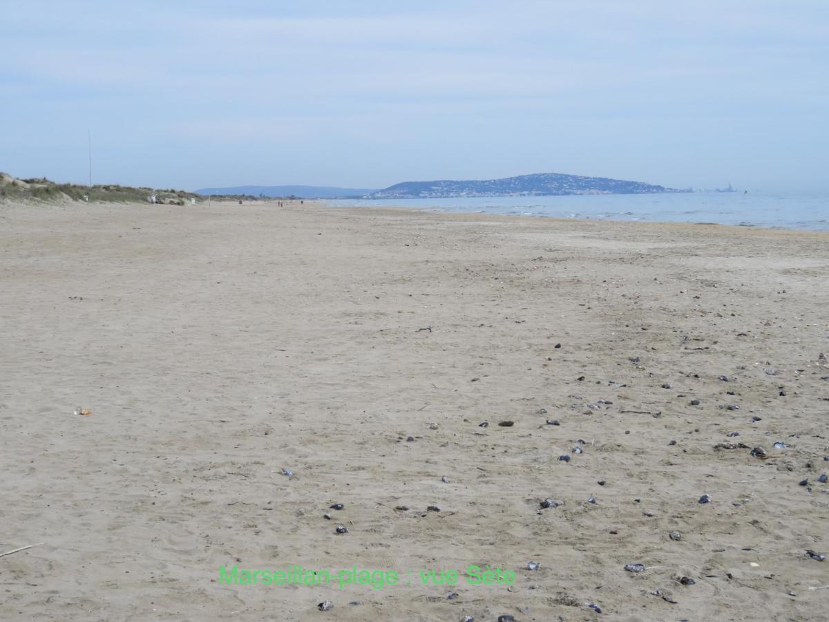 Horte neuve Marseillan  Extérieur photo